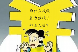 临夏临夏的要账公司在催收过程中的策略和技巧有哪些？